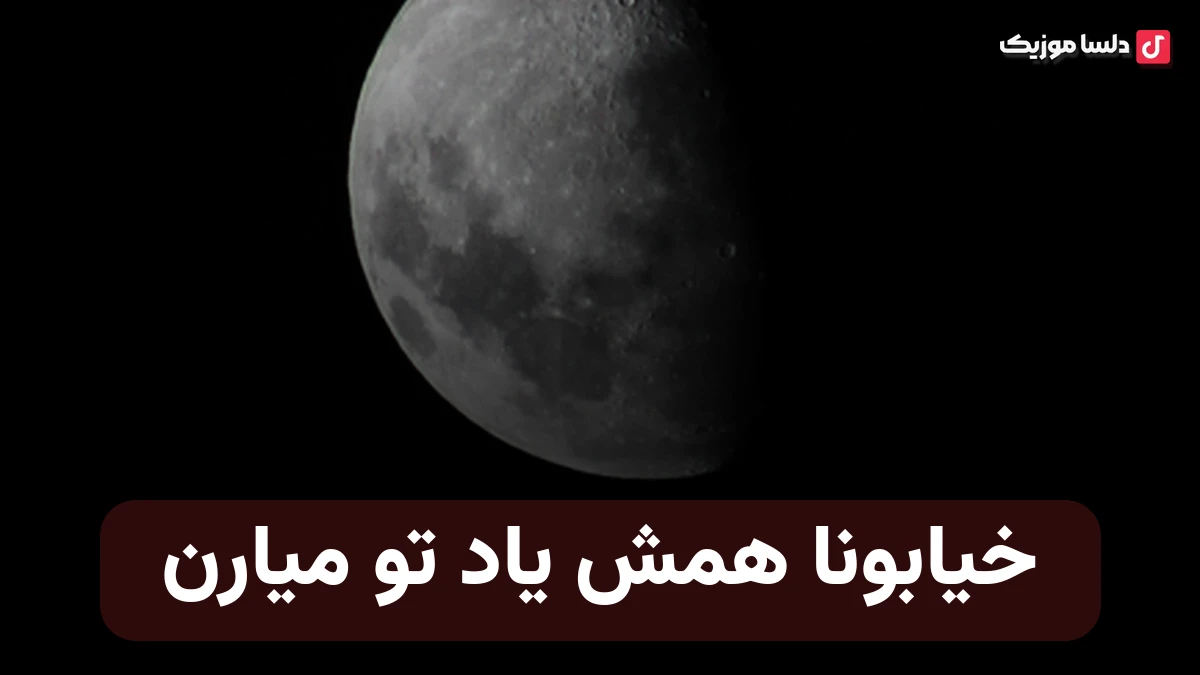 خیابونا همش یاد تو میارن چشام بی تو شب و رو زهی میبارن